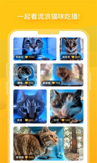 街猫app下载安装