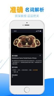 影像解剖图谱app下载