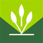 禾稻生活工具匣子安卓版v1.0.3 最新版