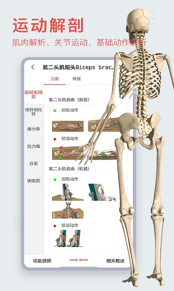 3dbody解剖学免费版