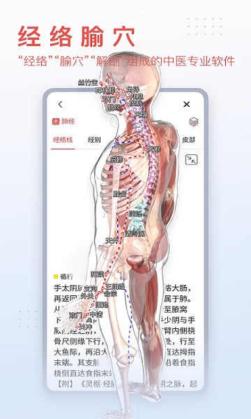 3dbody解剖学免费版