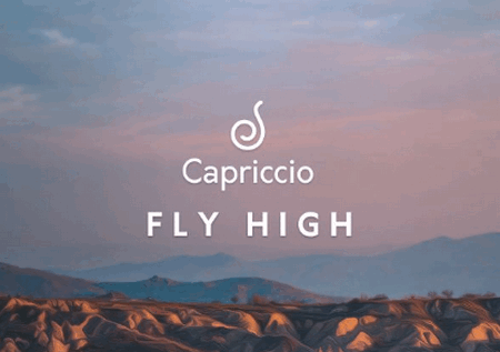 多功能音乐播放器(Capriccio pro)