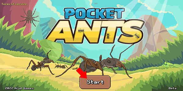 口袋蚂蚁模拟器Pocket Ants国际服最新版