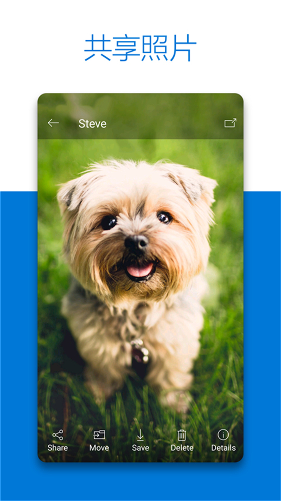 微软SkyDrive手机版下载