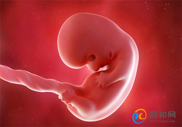 宝宝在肚子里一直动是怎么回事 宝宝一直动个不停是什么原因